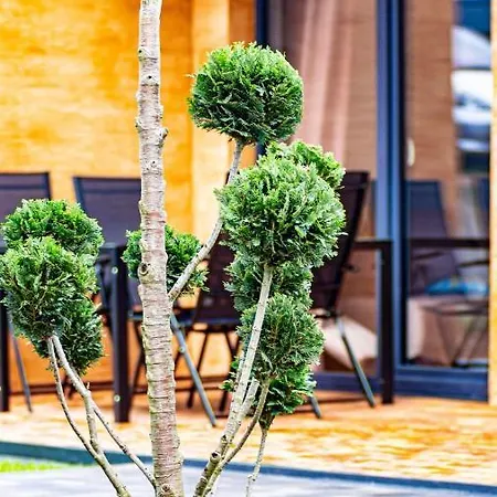 Osada * Виселка